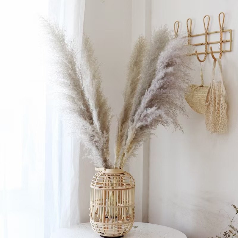 E07169 Wedding Decor Natural Vietnam Large Dried Flower Pampas Grass Reed Bleach Preserved Dried Pampas Grass