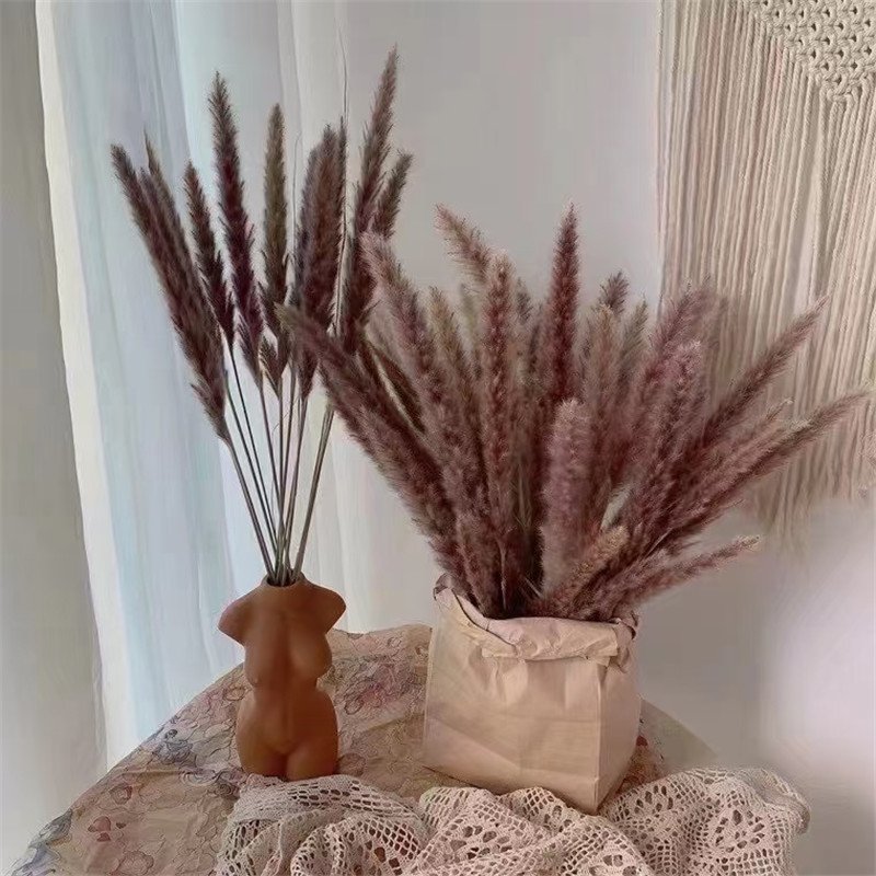 E07169 Wedding Decor Natural Vietnam Large Dried Flower Pampas Grass Reed Bleach Preserved Dried Pampas Grass
