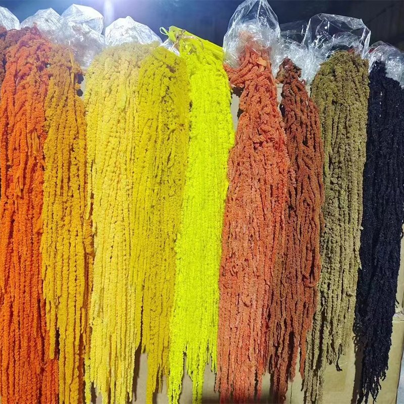 2024 Hot Sale Preserved Amaranthus Dried Roses Floral Hanging Bouquets material for Celebration Wedding Arrangement