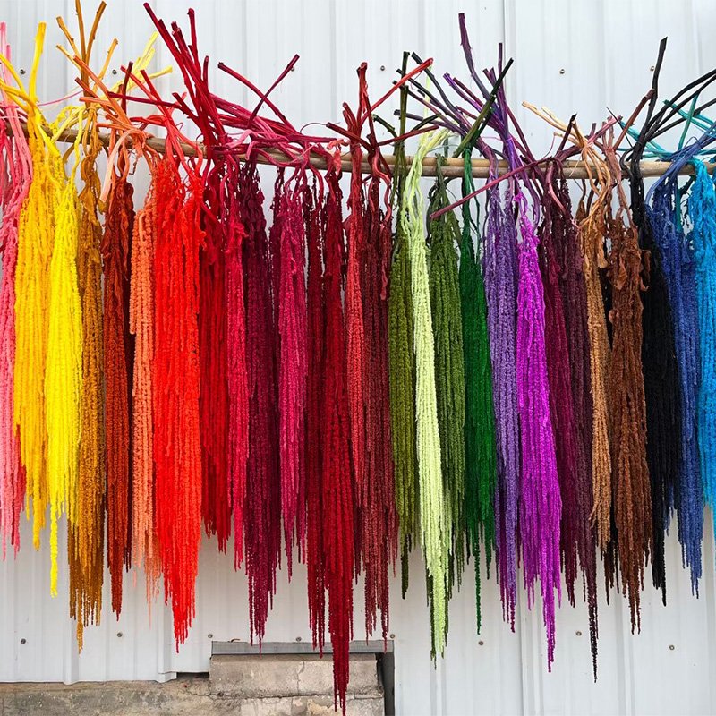 2024 Hot Sale Preserved Amaranthus Dried Roses Floral Hanging Bouquets material for Celebration Wedding Arrangement