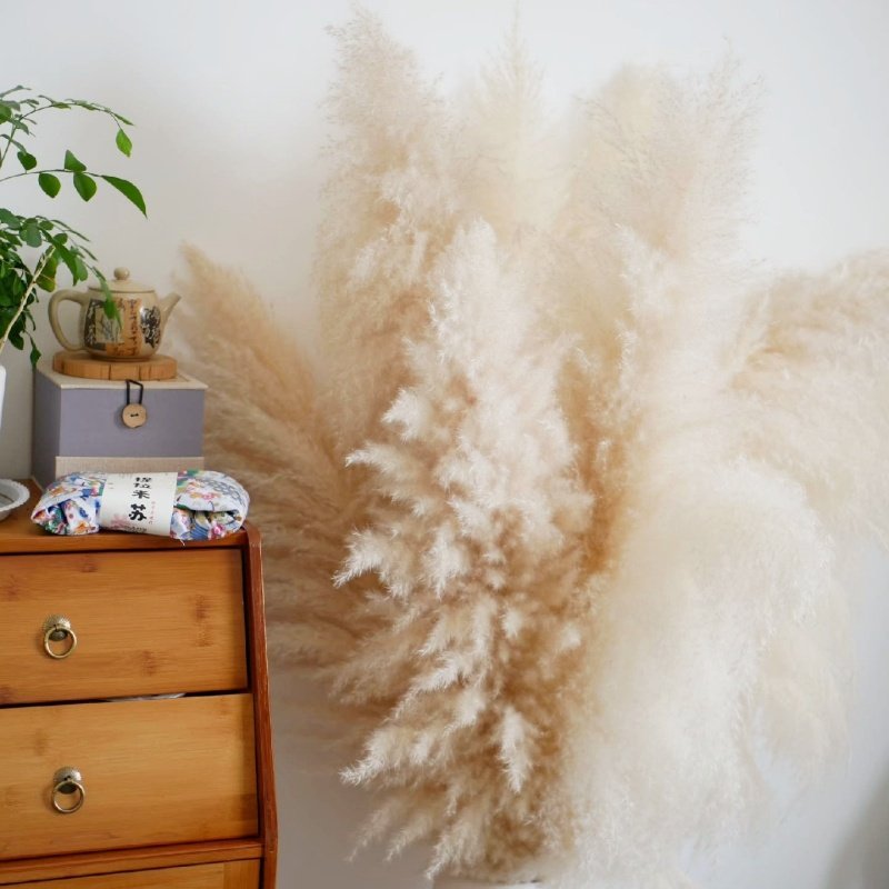 Wholesale Dried Pampas Grass Decor artificial flowers beige Natural Large Pampas Grass For wedding home hotel