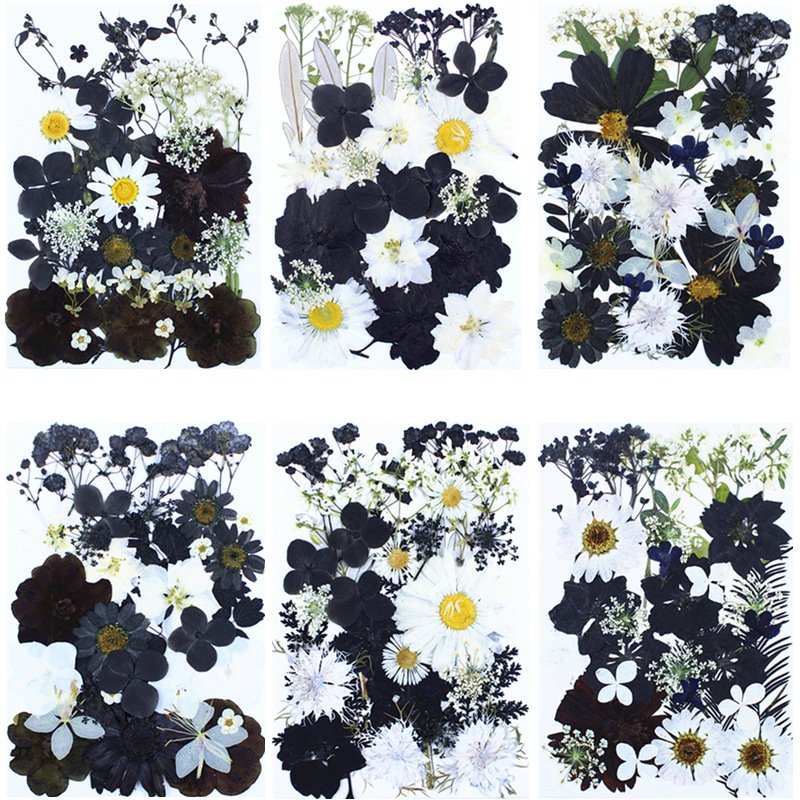 Factory wholesale price dried pressed flowers for resin dried flowers for epoxy resin