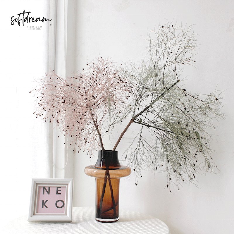 Wholesale Colorful Natural Cotinus coggygria Preserved Dried Flower Bouquet for Home Decor Floral Arrangements