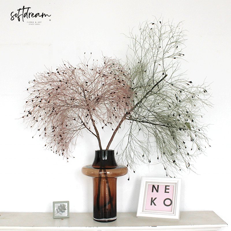 Wholesale Colorful Natural Cotinus coggygria Preserved Dried Flower Bouquet for Home Decor Floral Arrangements