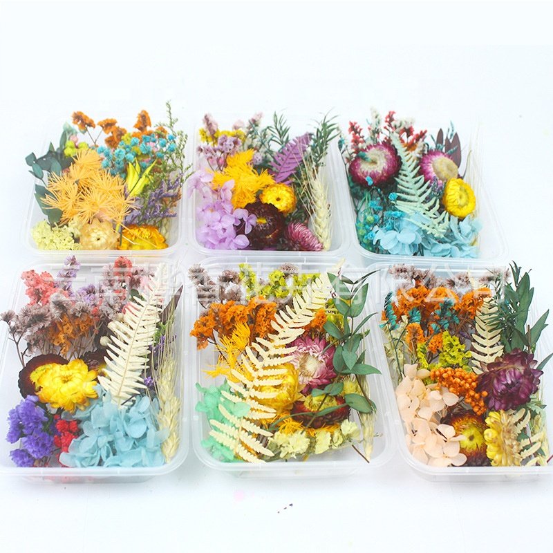 Wholesalers 1 Box Mix Style Real Natural Dried Flowers For Candle Soap Resin Decoration Nail Art Decals Epoxy Mold Jewelry DIY