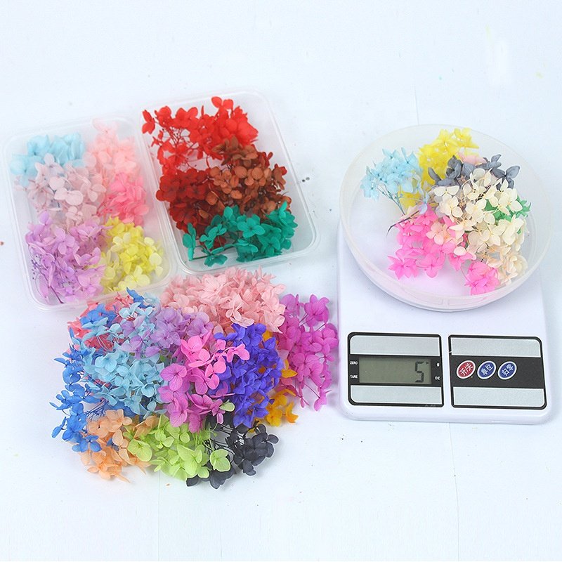 Wholesalers 1 Box Mix Style Real Natural Dried Flowers For Candle Soap Resin Decoration Nail Art Decals Epoxy Mold Jewelry DIY