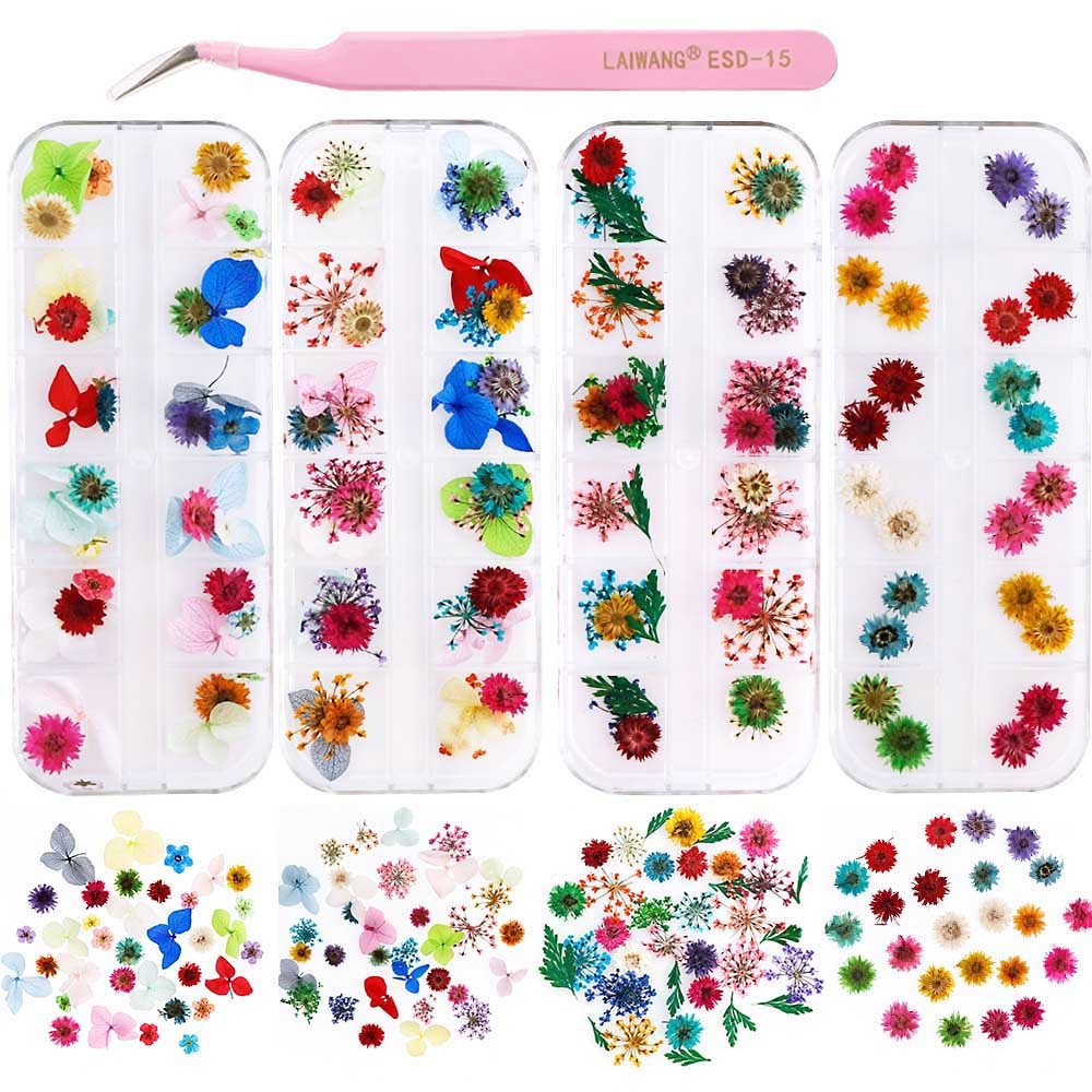 Mix Color Natural Dry Dried Flower 3D Nail Decor Nail Pressed Floral Manicure for Resin Crafts