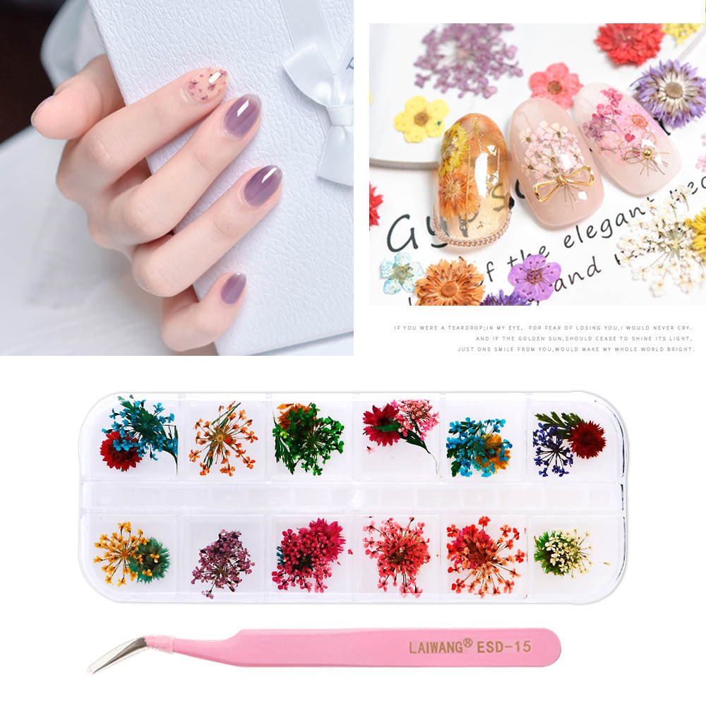 Mix Color Natural Dry Dried Flower 3D Nail Decor Nail Pressed Floral Manicure for Resin Crafts