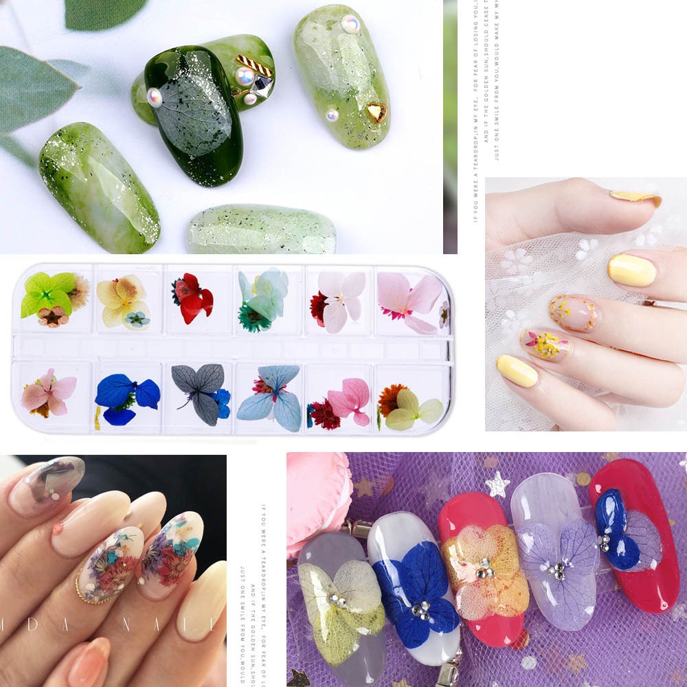 Mix Color Natural Dry Dried Flower 3D Nail Decor Nail Pressed Floral Manicure for Resin Crafts