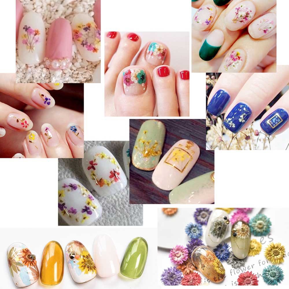 Mix Color Natural Dry Dried Flower 3D Nail Decor Nail Pressed Floral Manicure for Resin Crafts