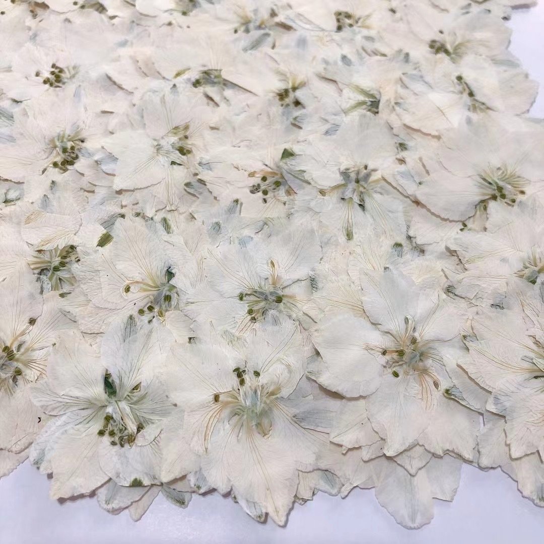 Delphinium Larkspur 2022 Hot sales Real Dried Pressed Flowers for resin crafts