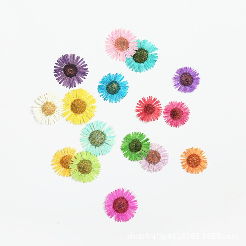 Manufacture Supply Centaurea Iberica Dried Flowers And Plants Dry Flower Bouquet Preserved Hydrangea Dried Flowers