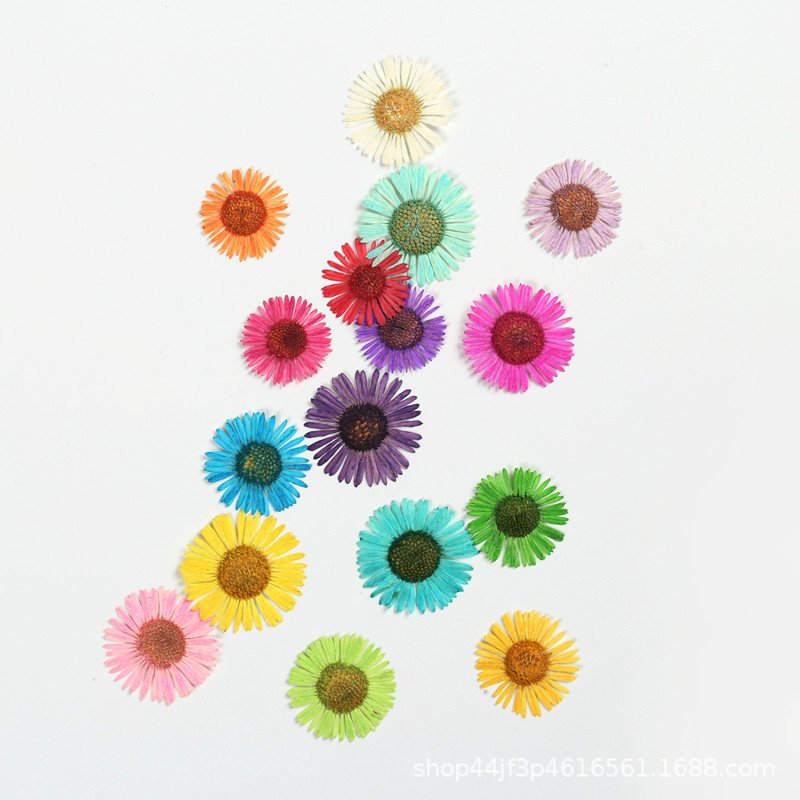 Manufacture Supply Centaurea Iberica Dried Flowers And Plants Dry Flower Bouquet Preserved Hydrangea Dried Flowers