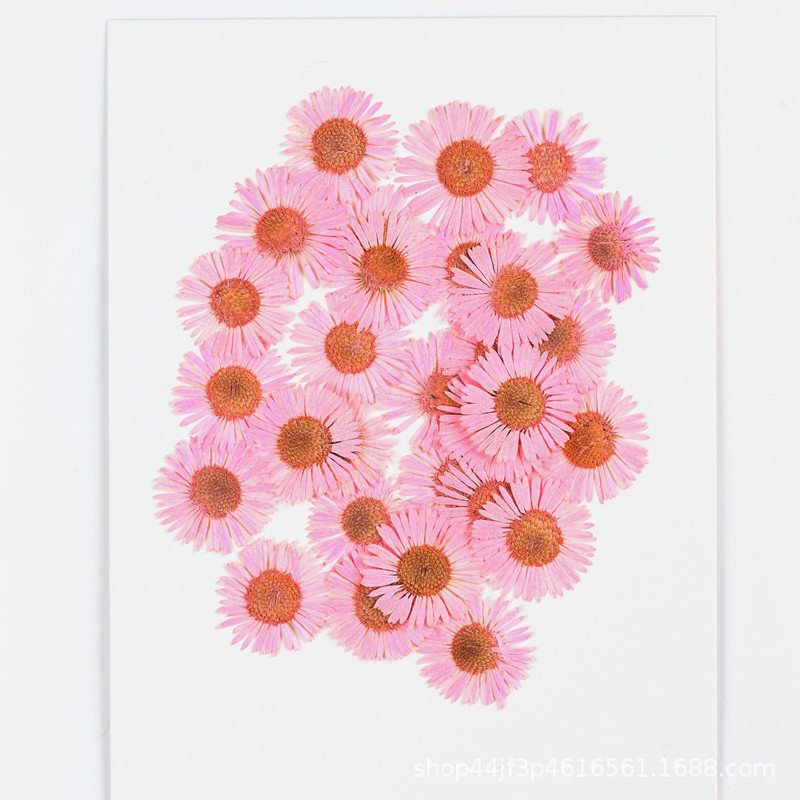 Manufacture Supply Centaurea Iberica Dried Flowers And Plants Dry Flower Bouquet Preserved Hydrangea Dried Flowers