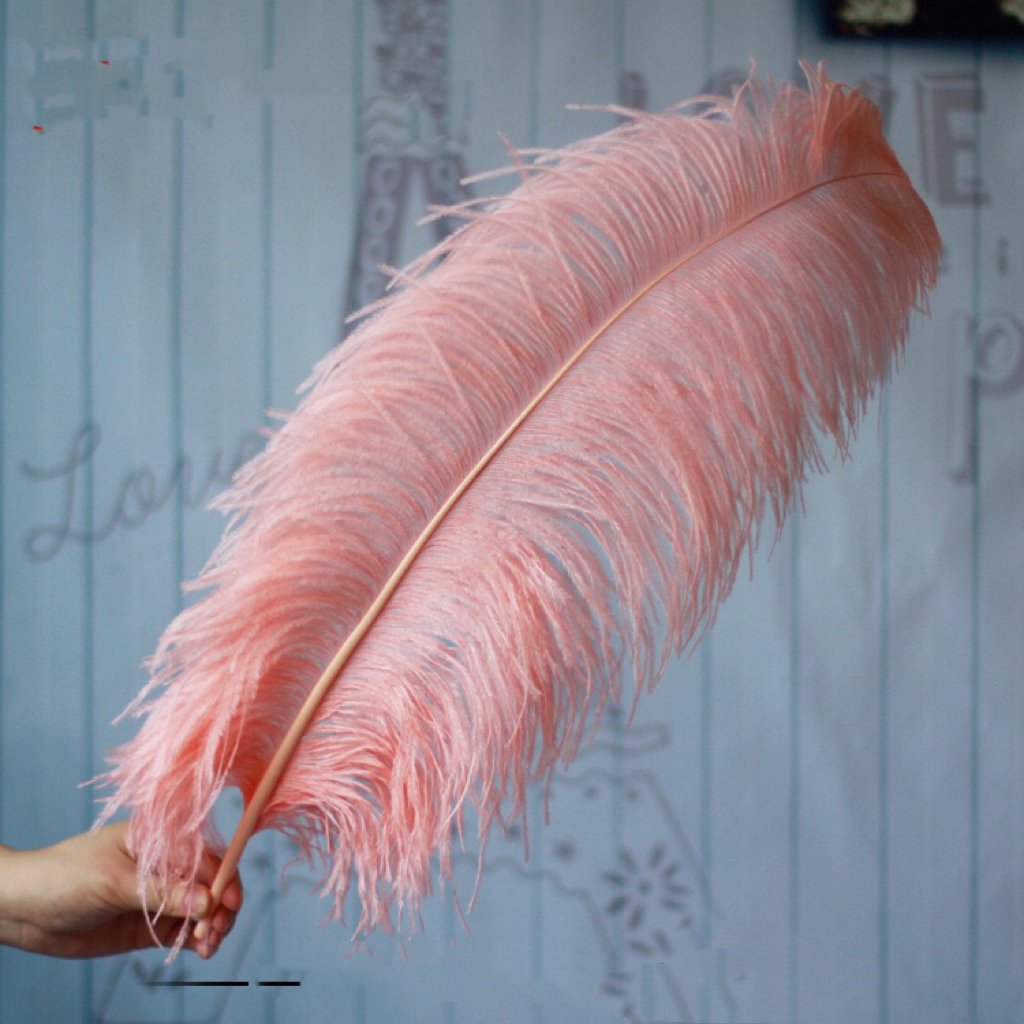 Cheap ostrich feathers tall Pampas reed Grass wedding decorative pink Dried Flowers nature feathers colored