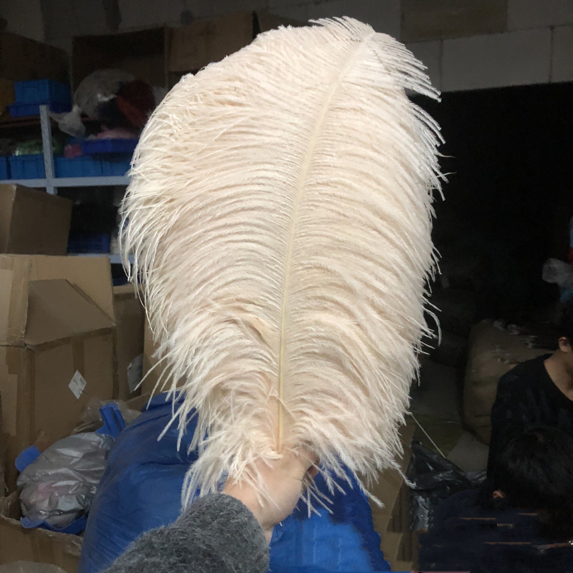 Cheap ostrich feathers tall Pampas reed Grass wedding decorative pink Dried Flowers nature feathers colored