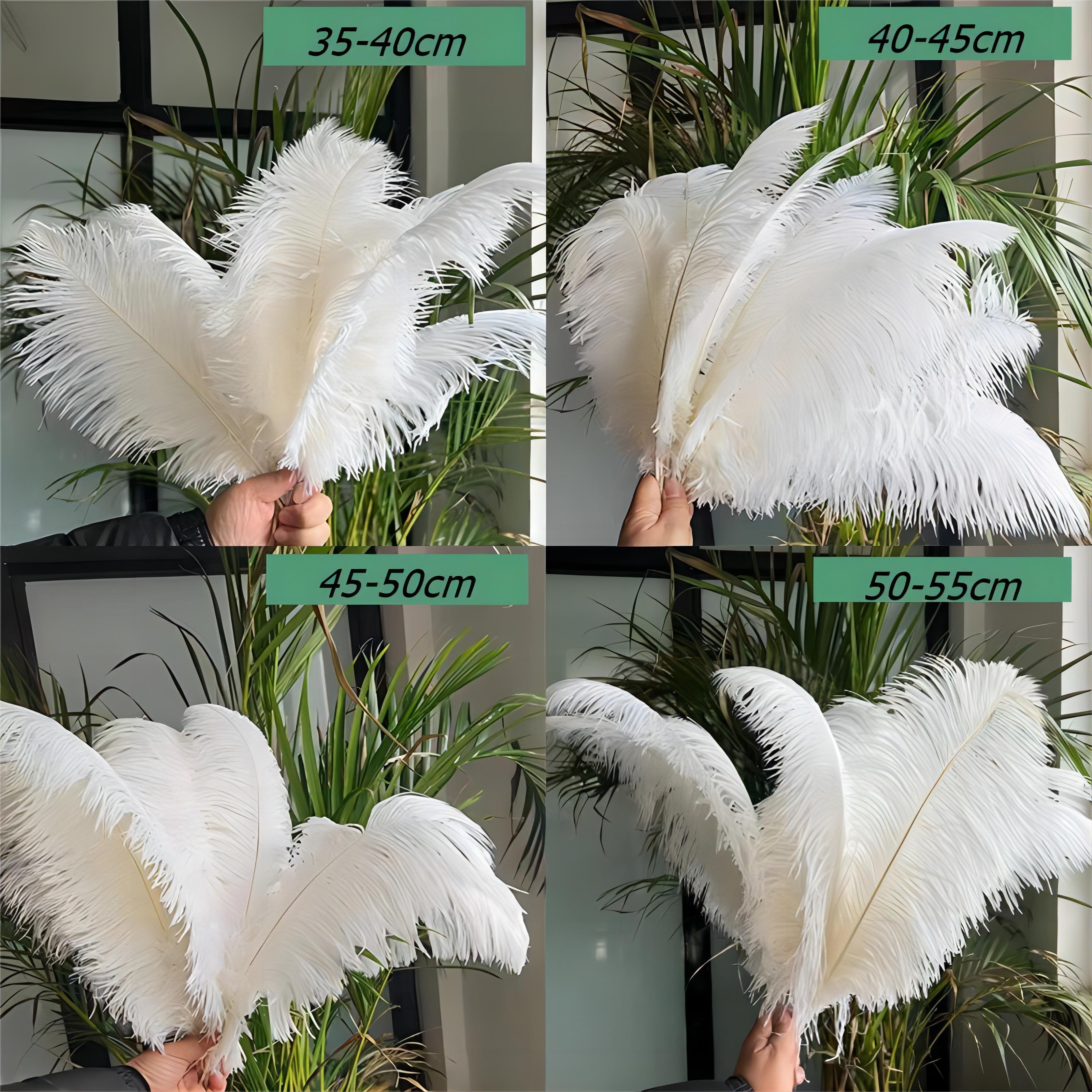 Cheap ostrich feathers tall Pampas reed Grass wedding decorative pink Dried Flowers nature feathers colored
