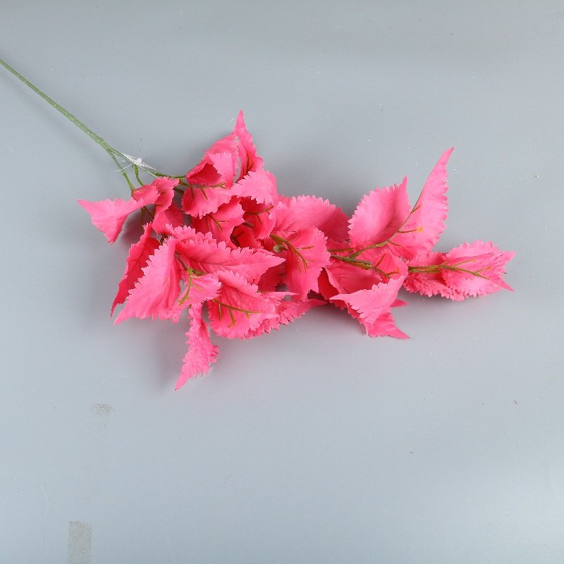 Wholesale Dried Flowers Christmas New Year Home Decor Wedding Arrangement Bouquet Materials Preserved Fortune Fruit