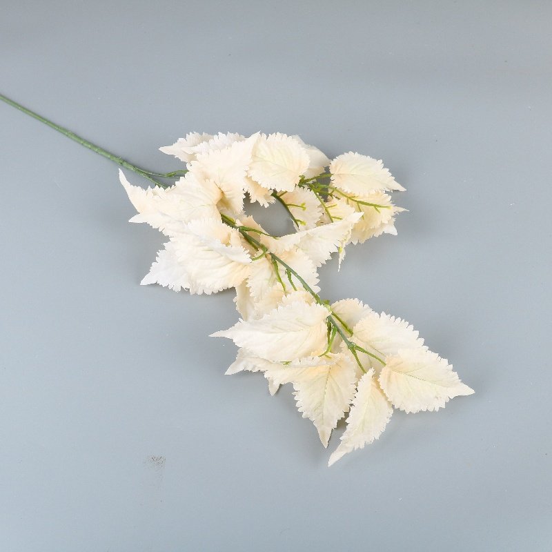 Wholesale Dried Flowers Christmas New Year Home Decor Wedding Arrangement Bouquet Materials Preserved Fortune Fruit