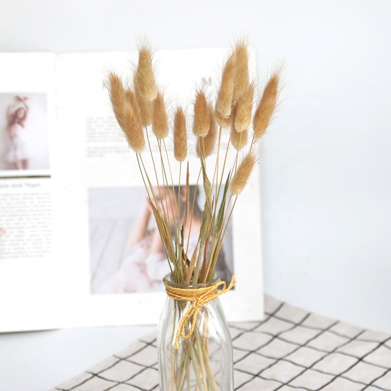 Natural Pampas Grass Dried Flowers Bouquet Wedding Decorations Spring Decor Rabbit Tail Grass Dry Flower Home Decor