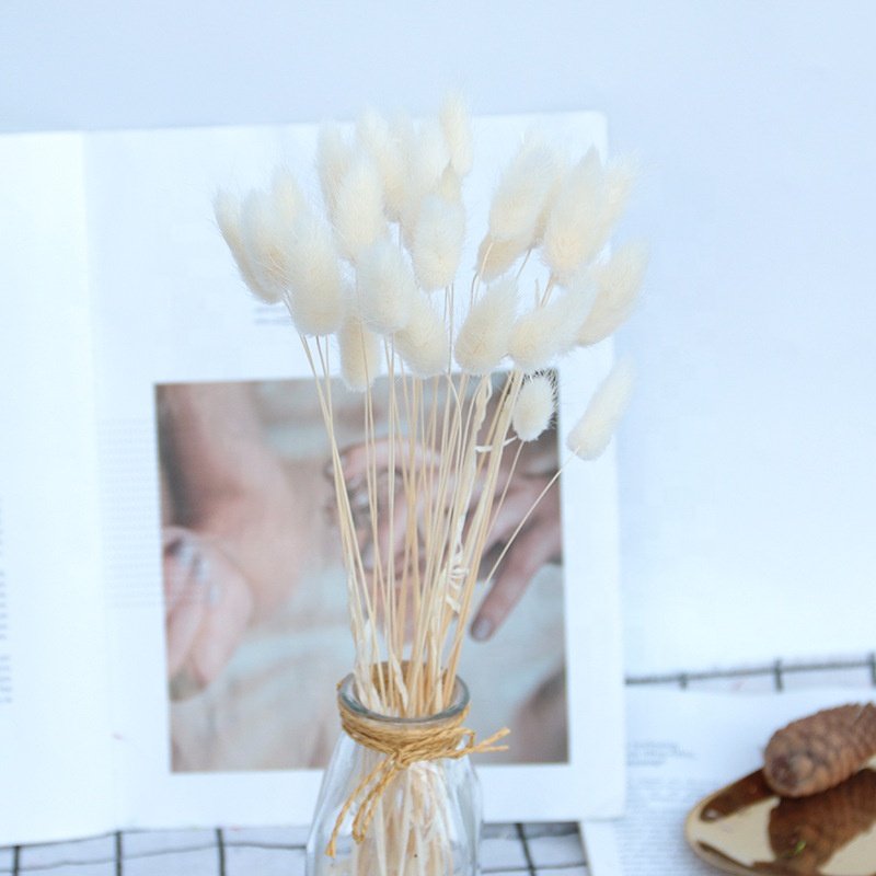 Natural Pampas Grass Dried Flowers Bouquet Wedding Decorations Spring Decor Rabbit Tail Grass Dry Flower Home Decor