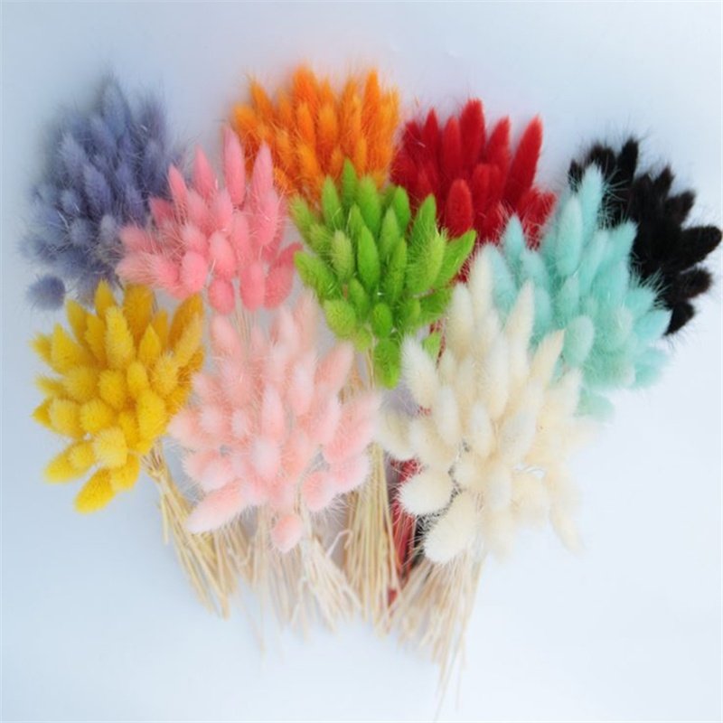 Natural Pampas Grass Dried Flowers Bouquet Wedding Decorations Spring Decor Rabbit Tail Grass Dry Flower Home Decor