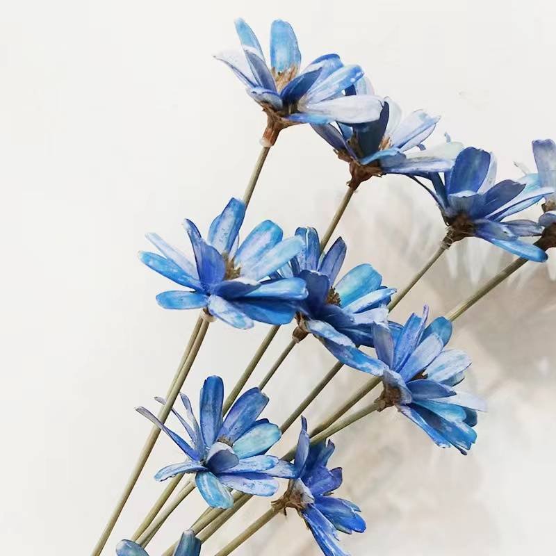 Dried flower manufacturers wholesale fruit shell melon seeds handmade bouquet soft flower arrangement