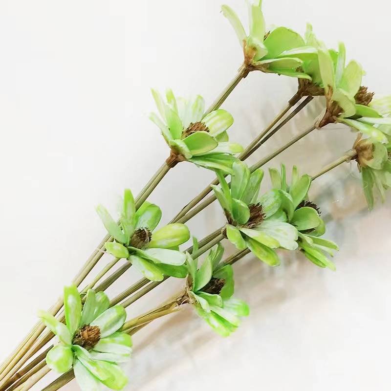 Dried flower manufacturers wholesale fruit shell melon seeds handmade bouquet soft flower arrangement
