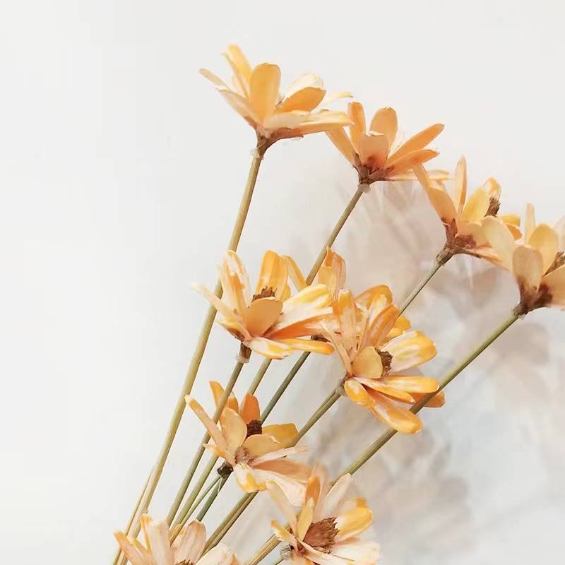 Dried flower manufacturers wholesale fruit shell melon seeds handmade bouquet soft flower arrangement