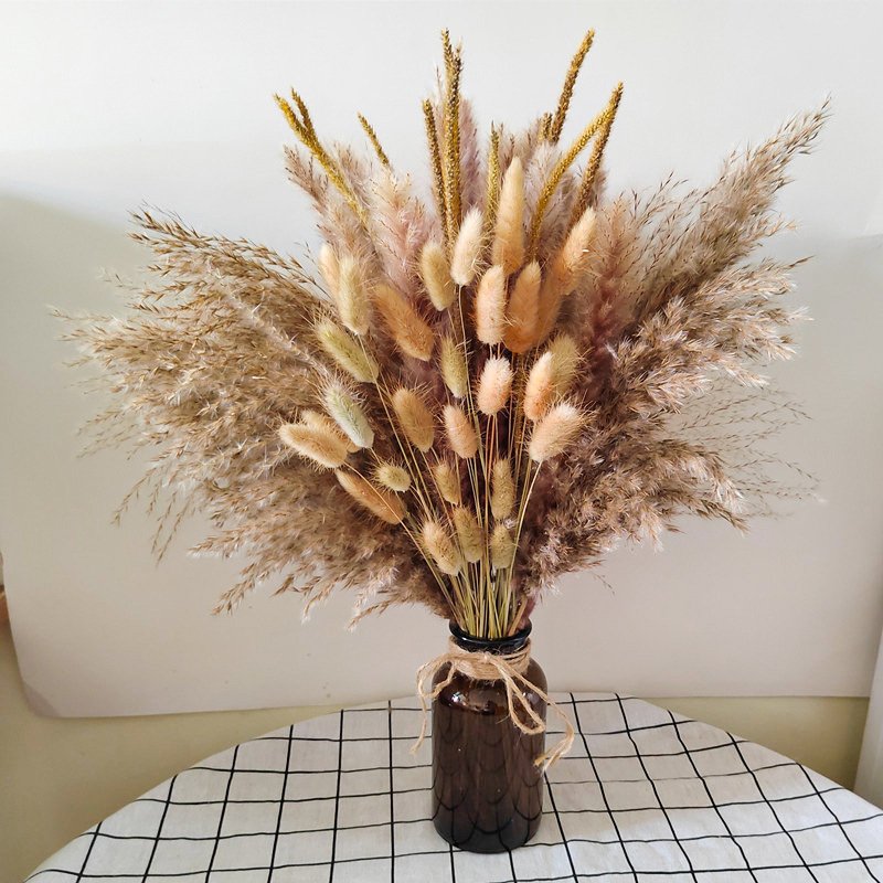 G3 73PCS Cream Pampas Grass Boho Home Decor Fluffy Room Phragmites Decoration Natural Bunny Tail Grass Dried Flowers Bouquet