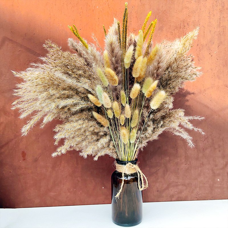 G3 73PCS Cream Pampas Grass Boho Home Decor Fluffy Room Phragmites Decoration Natural Bunny Tail Grass Dried Flowers Bouquet