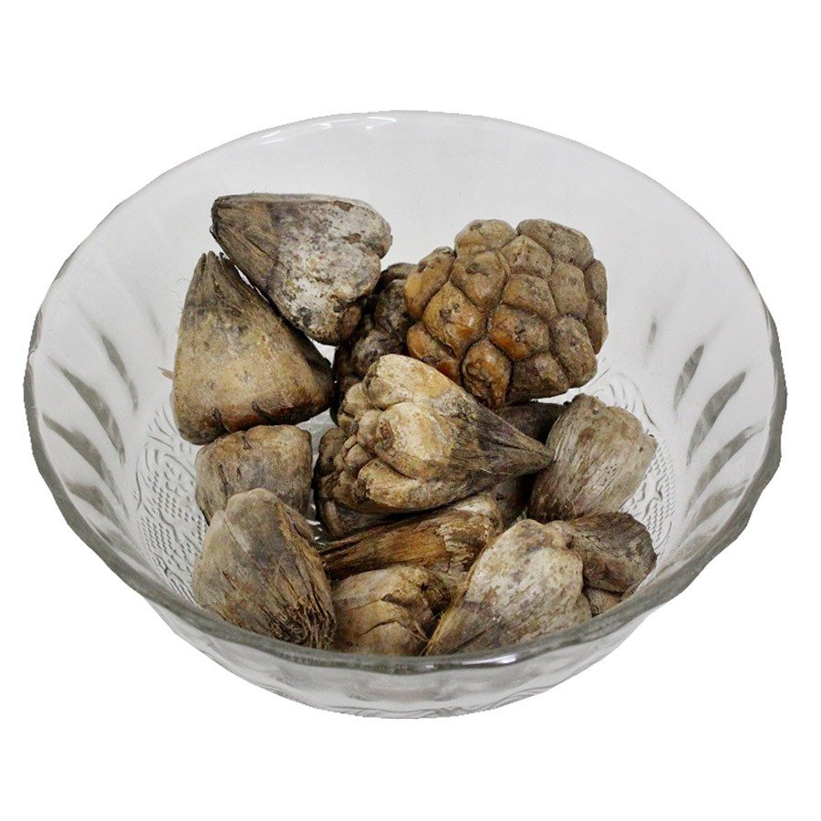 Nature Collection Plant Parts Natural Unscented Potpourri Jack Seed For Decoration Dried Flower Botanical