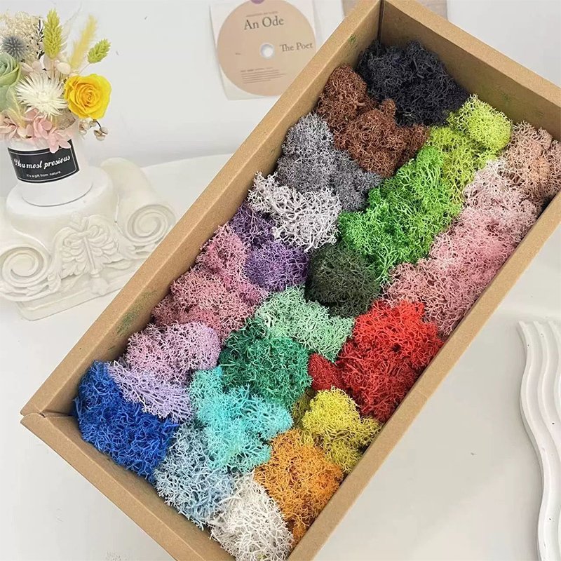 Everlasting Moss Preserved Moss Bryophyte Dyed Multi Colors Home Decor Plant Reindeer Moss for Potted Plants