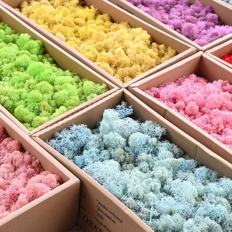 Everlasting Moss Preserved Moss Bryophyte Dyed Multi Colors Home Decor Plant Reindeer Moss for Potted Plants
