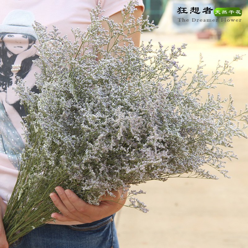 AX-20 Natural dried Limonium flower lover grass deried limonium caspium decorative flower bunch dried flower bouquet lovergrass