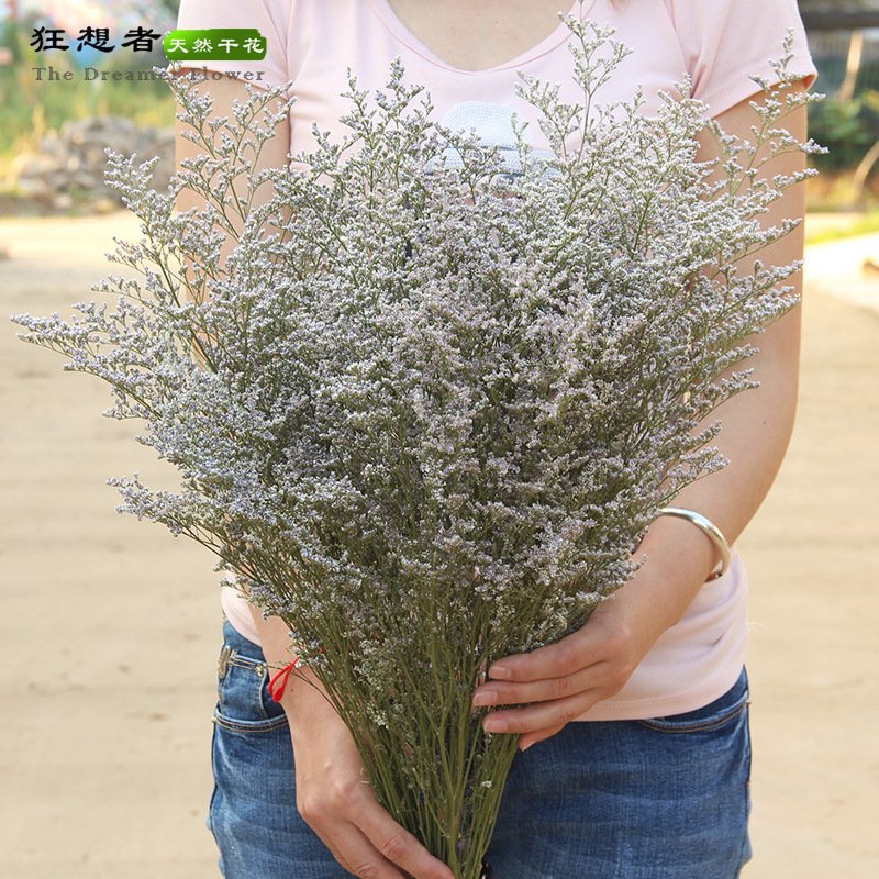 AX-20 Natural dried Limonium flower lover grass deried limonium caspium decorative flower bunch dried flower bouquet lovergrass