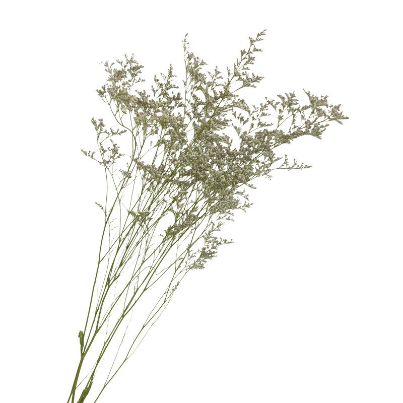 AX-20 Natural dried Limonium flower lover grass deried limonium caspium decorative flower bunch dried flower bouquet lovergrass