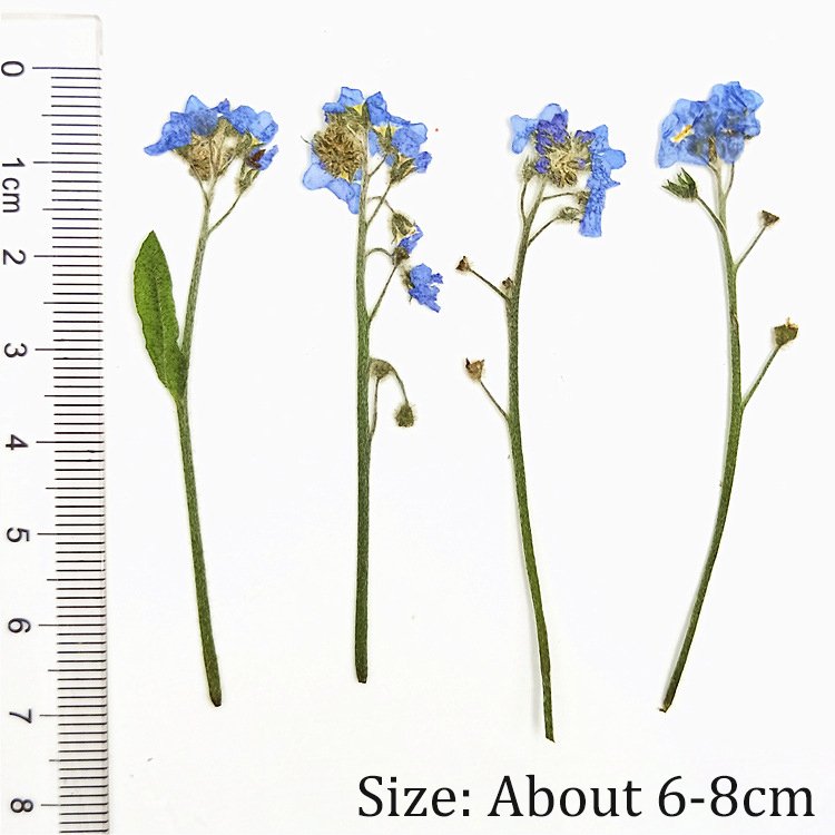 Wholesale Embossed Dried Flowers for Soy Wax Candle Make Floral Candles Gift