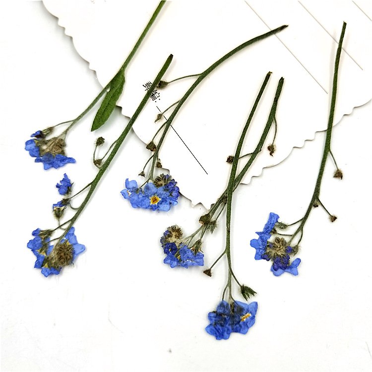 Wholesale Embossed Dried Flowers for Soy Wax Candle Make Floral Candles Gift