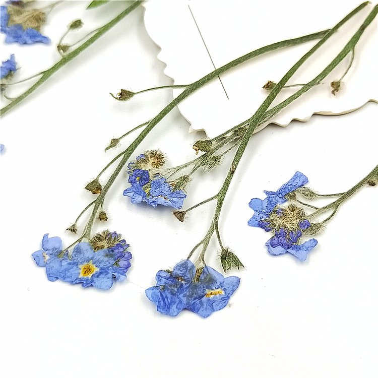 Wholesale Embossed Dried Flowers for Soy Wax Candle Make Floral Candles Gift