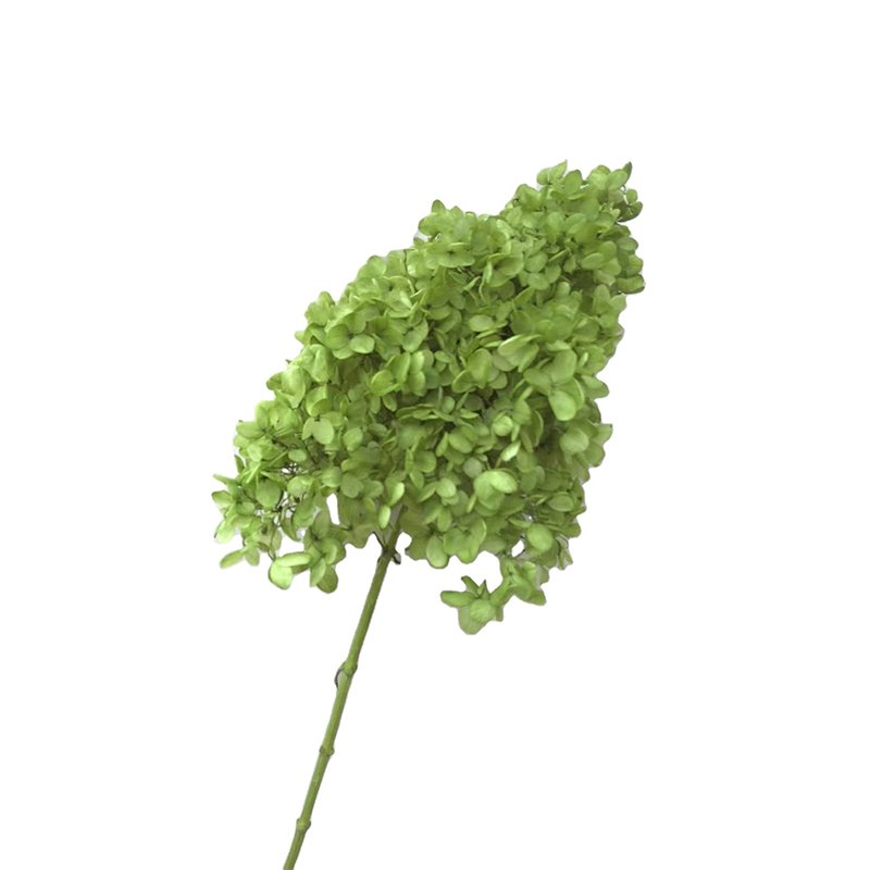 2025 planner christmas decorations real natural stabilized dried flowers & plants hydrangeas preserved green hydrangea flowers
