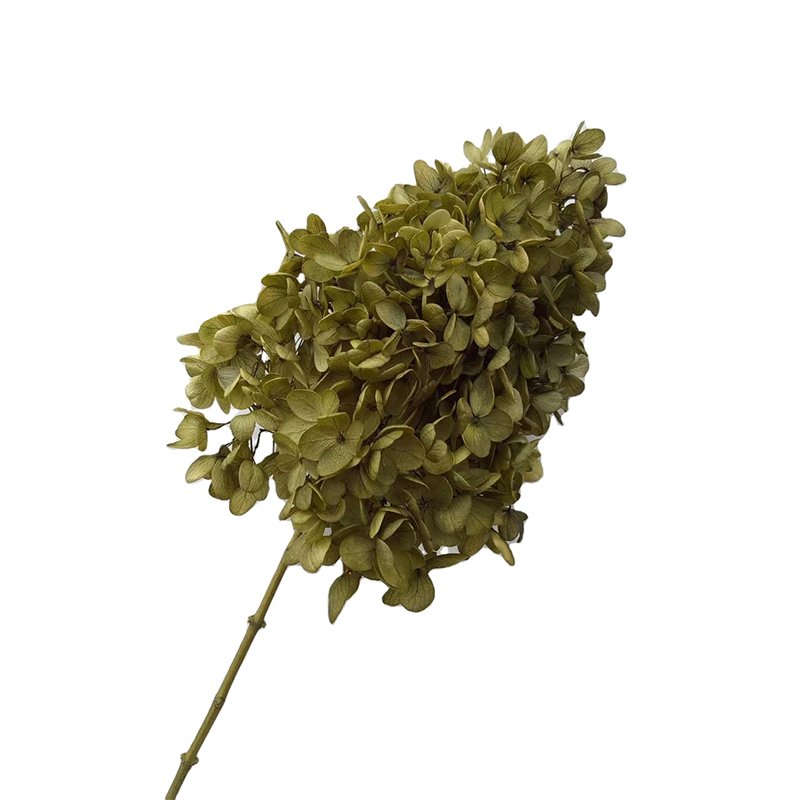 2025 planner christmas decorations real natural stabilized dried flowers & plants hydrangeas preserved green hydrangea flowers