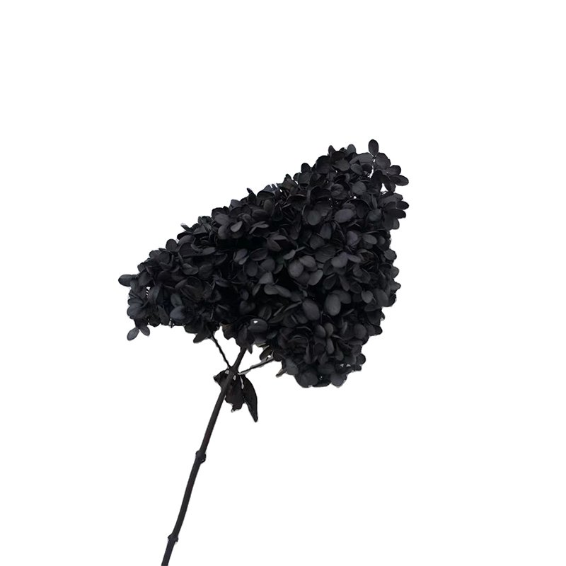 2025 planner christmas decorations real natural stabilized dried flowers & plants hydrangeas preserved green hydrangea flowers