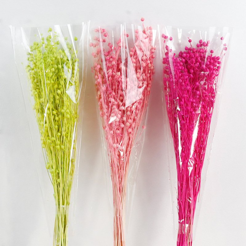 Factory Outlet Wedding Decoration Acacia Beans Bridal Bouquet Dried Flowers Jequirity For Festival Decoration