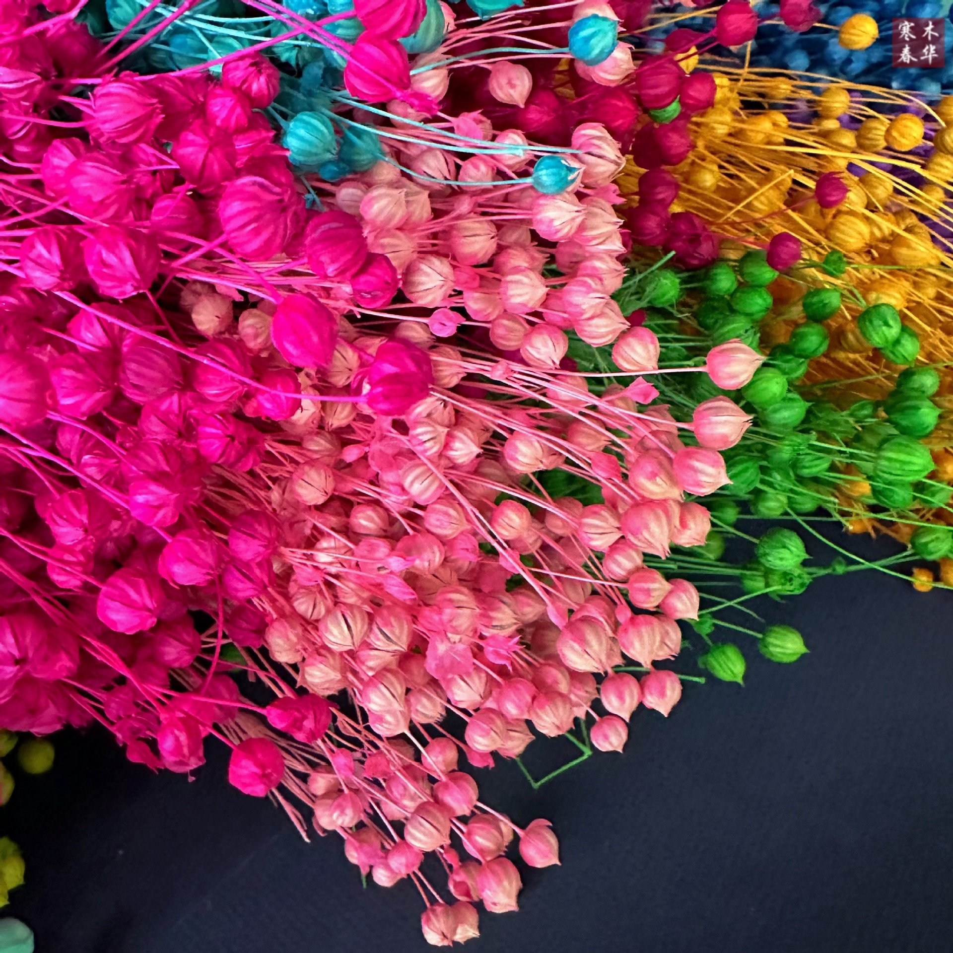 Factory Outlet Wedding Decoration Acacia Beans Bridal Bouquet Dried Flowers Jequirity For Festival Decoration