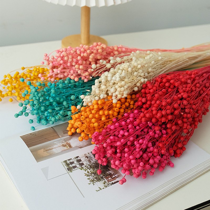 Factory Outlet Wedding Decoration Acacia Beans Bridal Bouquet Dried Flowers Jequirity For Festival Decoration