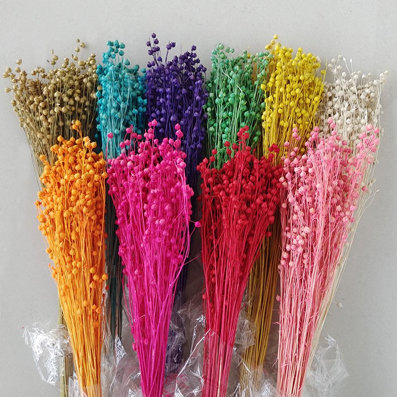 Factory Outlet Wedding Decoration Acacia Beans Bridal Bouquet Dried Flowers Jequirity For Festival Decoration