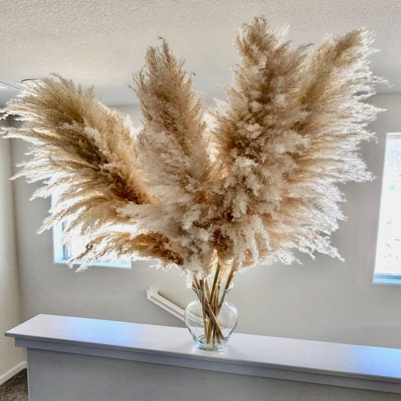 Factory Directly Fluffy Pampas Grass Wedding Decor Flower Artificial Pampas White Large Dried Pampas Grass