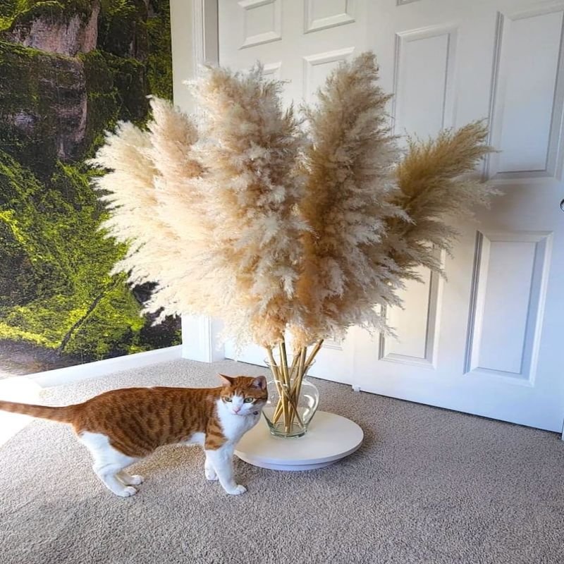 Factory Directly Fluffy Pampas Grass Wedding Decor Flower Artificial Pampas White Large Dried Pampas Grass