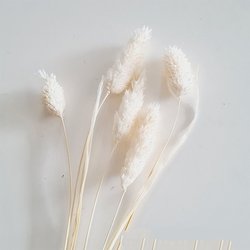SKU13